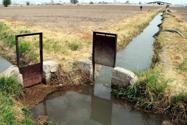 El mayor problema para la humanidad es la agricultura, que es la actividad que más agua utiliza 'y de forma muy ineficaz'. ARCHIVO