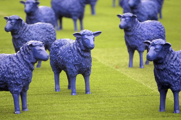 Exposición Oveja Azul en Maguncia
