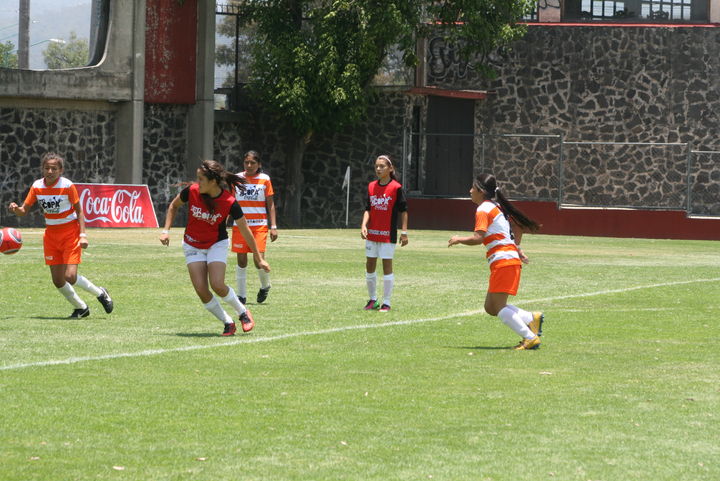 Las Leonas del Instituto Británico se despidieron ayer de la Copa Coca Cola de Futbol 2013, luego de caer en semifinales por 3 goles a 2 ante la escuadra de Quintana Roo. Leonas se quedan a un paso de la final