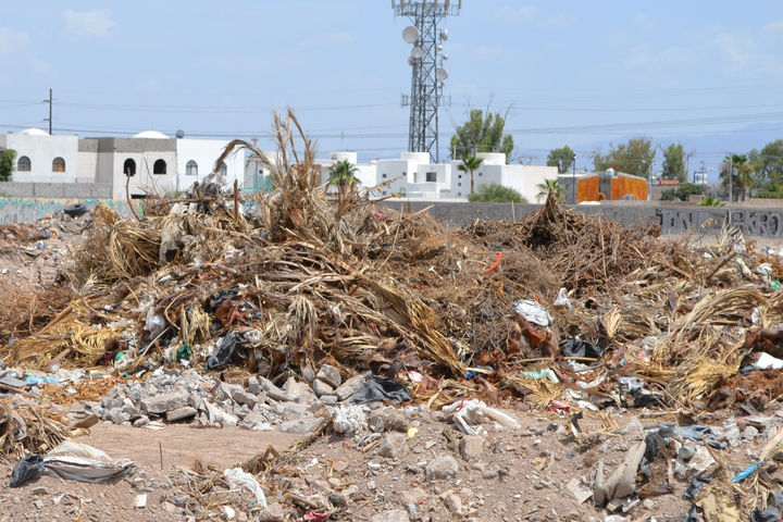 Riesgos. A un costado del Bosque Urbano de Torreón se siguen dejando desechos vegetales, en la zona se han registrado desde hace años diversos incendios.