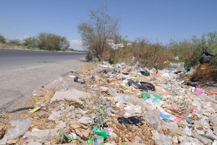 Basura. En los terrenos baldíos ubicados a un costado de la carretera Santa Fe, hay todo tipo de desechos entre ellos animales muertos.