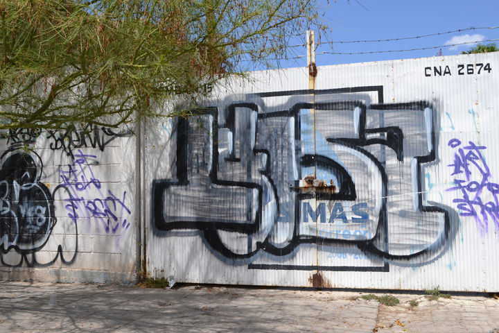 Rayados. Hasta los portones de una instalación del Simas Torreón han resultado afectados por los rayones de grafiti.