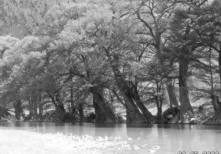 Sequía afecta flora y fauna de paraje Sequía afecta flora y fauna de paraje