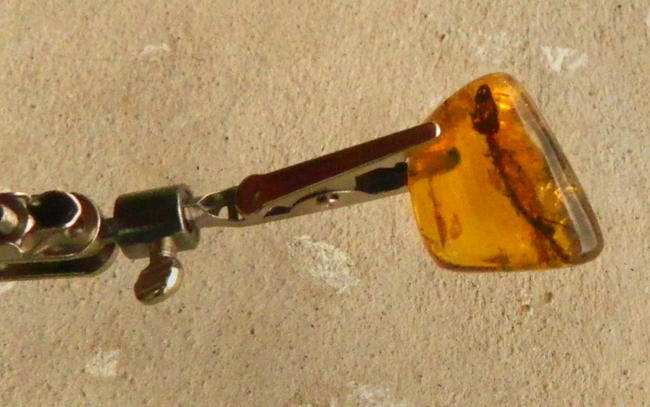 La pequeña pieza de ámbar amarillo, con forma de trapezoide, que encierra el esqueleto, fue hallada hace varios meses en los yacimientos de Simojovel, en norte del estado sudoriental de Chiapas. EFE