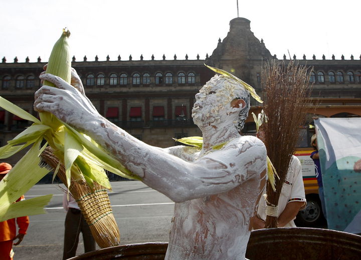 En defensa. Las manifestaciones contra el maíz transgénico en México son ya comunes por organizaciones campesinas.