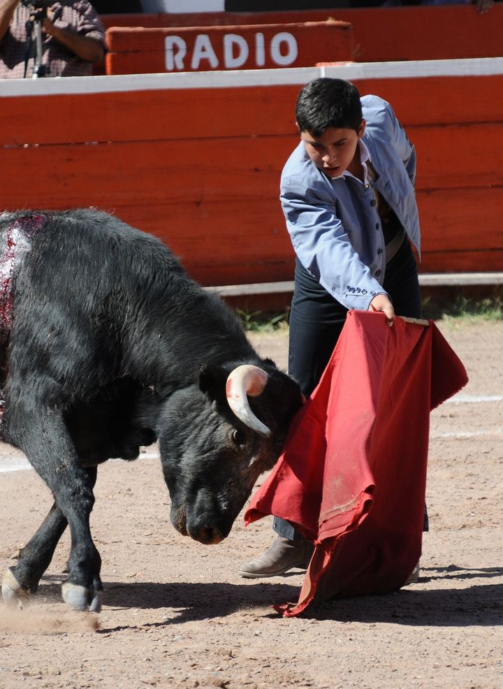 Alumnos de la Escuela Taurina Jaime Cantú partirán plaza el domingo próximo. Listo Festival de Niños Toreros en Torreón