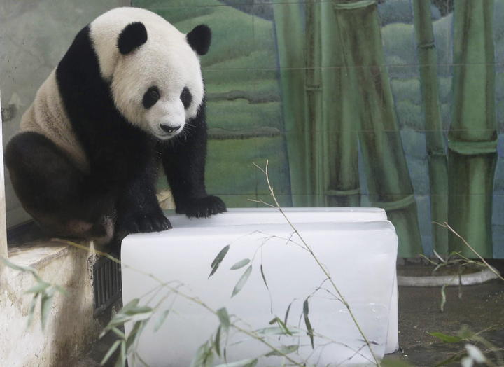 Una ola de calor golpea el sur de China