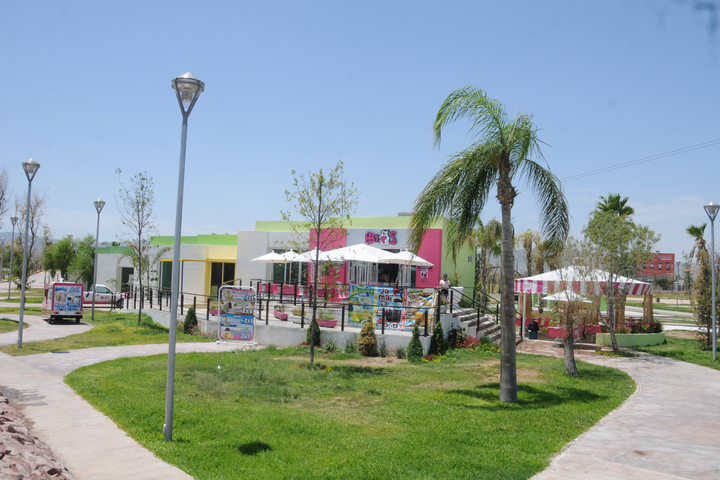 Bosque. Fue cerrado al público por unas horas, debido a la reposición y plantación de árboles.