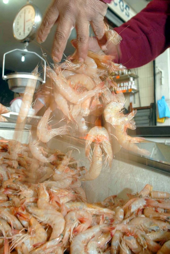 Es bueno. El camarón que se encuentra en el mercado no tiene afectaciones.