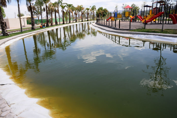 Vaciarán el agua verdosa de los lagos del Bosque Urbano