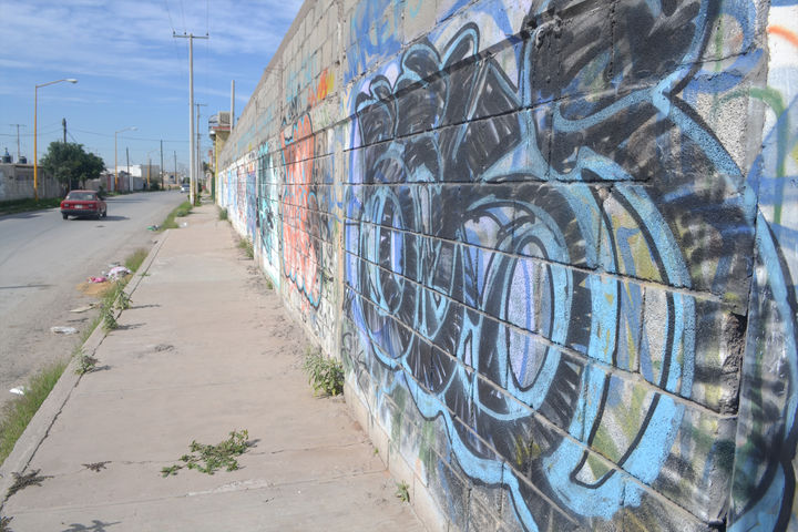 Grafiti.  Uno de los principales problemas a los que se enfrentan los colonos de Residencial del Norte es el grafiti, el cual se encuentra por todas las paredes de las diversas casas que integran la colonia.  