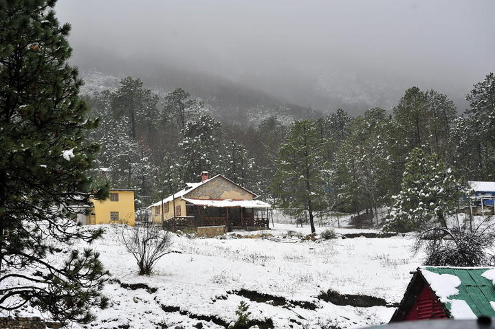 La Sierra de Arteaga se pintó de blanco los primeros días del 2013, tras la entrada del frente frío número 19. (Archivo)