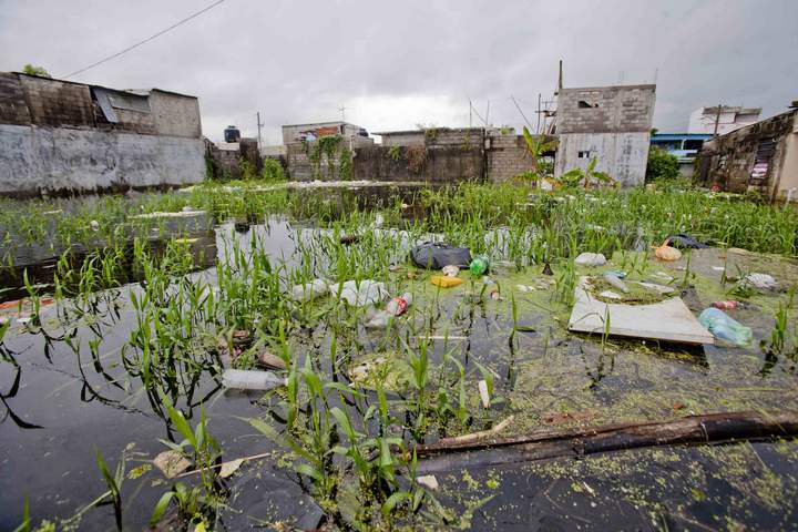 Activará Sagarpa seguro por daños agropecuarios en Tabasco