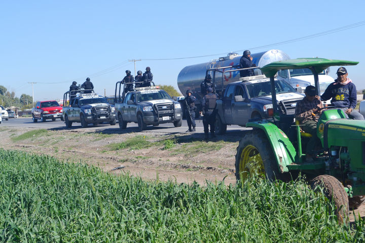 Sembradíos de avena asombran a laguneros