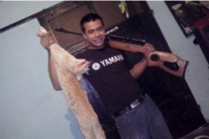 Polémica. Julio Avendaño, de Querétaro, muestra a un gato muerto que él mismo habría matado.
