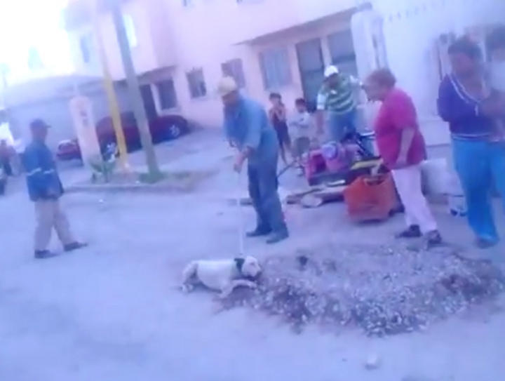 En el video se observa que algunos hombres, señalados como empleados de la Perrera Municipal, arrastran al animal por el pavimento mientras llora y ladra. (YouTube) 
