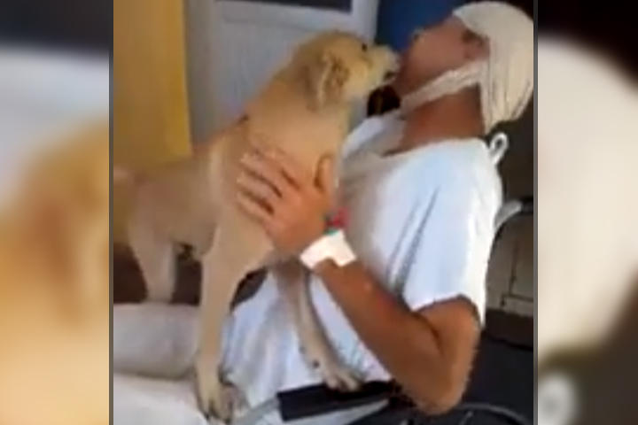 El perro se emocionó al ver a su amo. (YouTube)