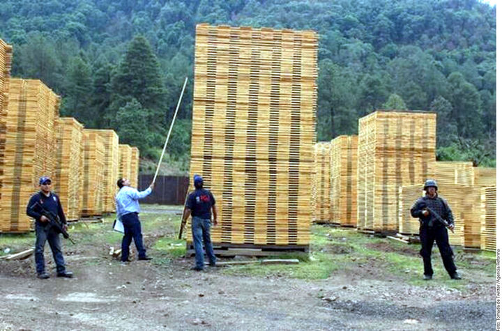 Decomiso. El comisionado Alfredo Castillo, reportó el aseguramiento de 3 mil 320 toneladas de madera durante un operativo.