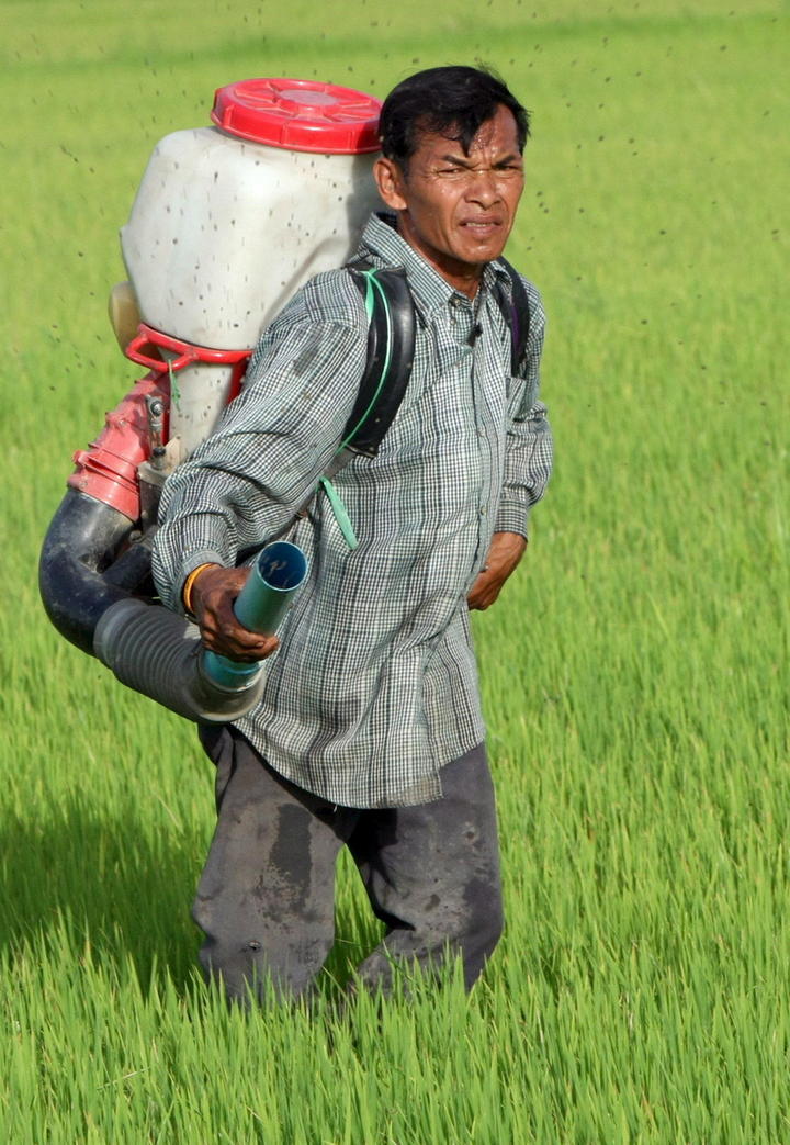 Las muertes originadas por productos químicos relacionados con la industria y agricultura, ascendieron a 1.7 millones, lo que equivale al 50% del total de los registros en el mundo.  (ARCHIVO)