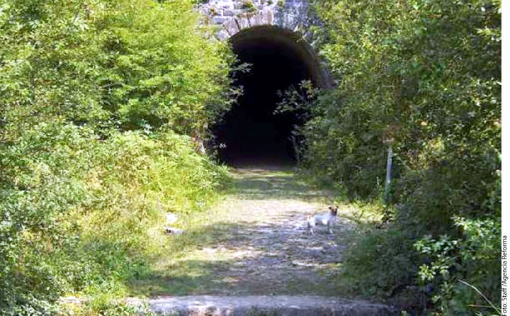 Túnel. Elementos de la Secretaría de Marina localizaron un túnel que escondía cartuchos para armas y vehículos blindados.
