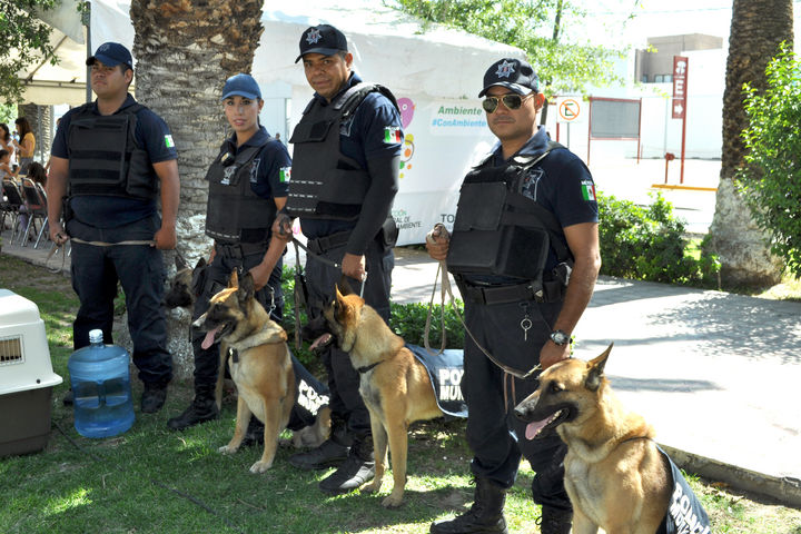 Convivencia. Nuevamente los perros y cachorros policía visitaron el Paseo Colón como parte de su entrenamiento.