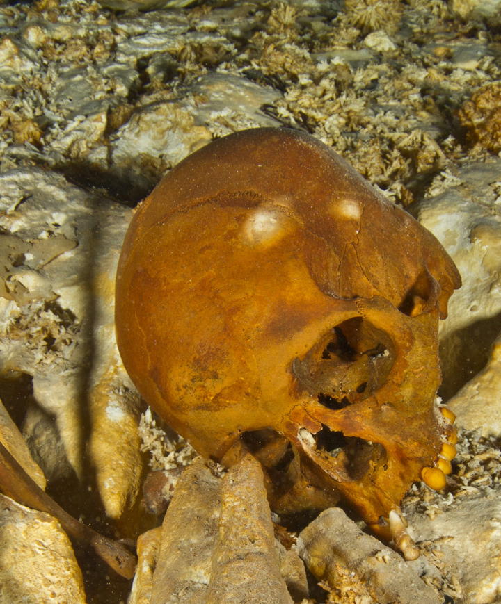 Hallan esqueleto humano más antiguo de América en Yucatán
