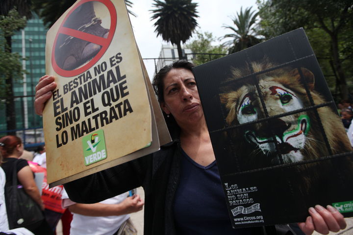 Protesta. Activistas de la organización AnimaNaturalis protestan por el uso de animales.