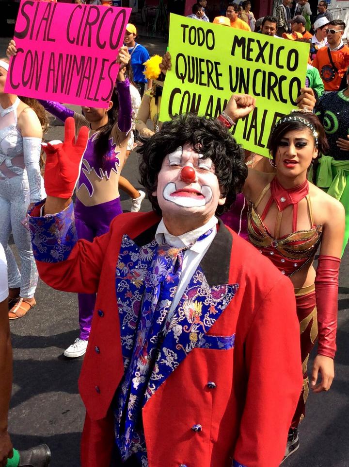Trabajadores de diversos circos se manifestaron en el Zócalo capitalino contra la ley aprobada por la Asamblea Legislativa del DF (ALDF) que les prohíbe incluir a los animales en sus espectáculos. (Archivo)