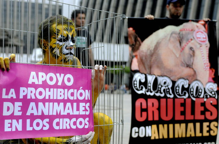 Prohíben animales en circos de Atlixco, Puebla
