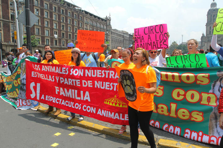 Cirqueros buscan que GDF vete ley que prohíbe animales