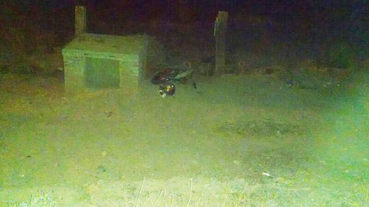 Muere. A un lado de la carretera quedó la moto y el cuerpo del chavo.
