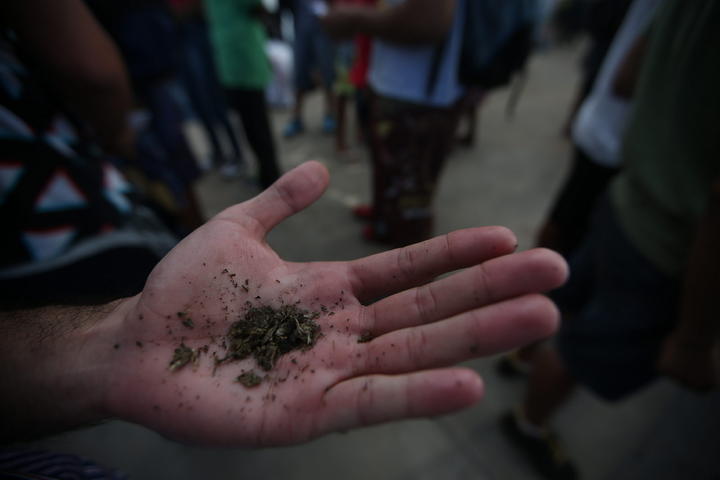 Jóvenes piden despenalización de marihuana en DF