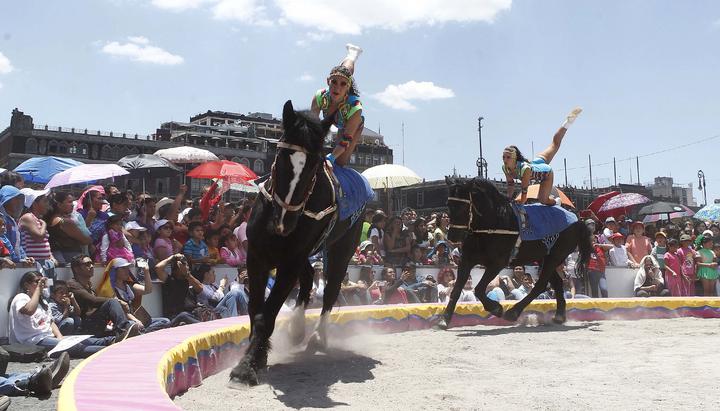 Armando Cedeño, presidente de la Uneac, comentó que el próximo viernes se ampararán ante la Corte para que les permitan seguir utilizando animales en los espectáculos. (El Universal)
