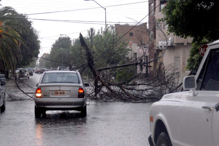 Daños. Se caen 27 árboles en La Laguna tras las lluvias; 17 son de Torreón, 9 de Gómez Palacio y 1 en el municipio de Lerdo. 