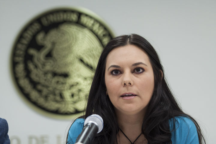 Promotora. La panista Laura Rojas promueve una ley que, dijo, será fundamental para el futuro.