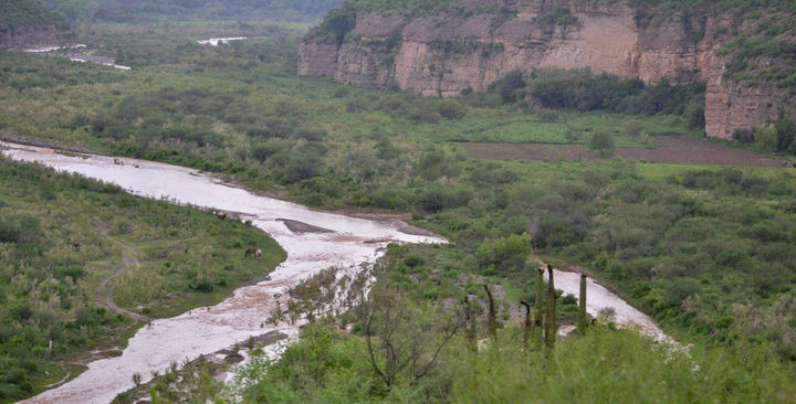 Veneno. El río Sonora requiere de atención urgente para desintoxicar las zonas afectadas.