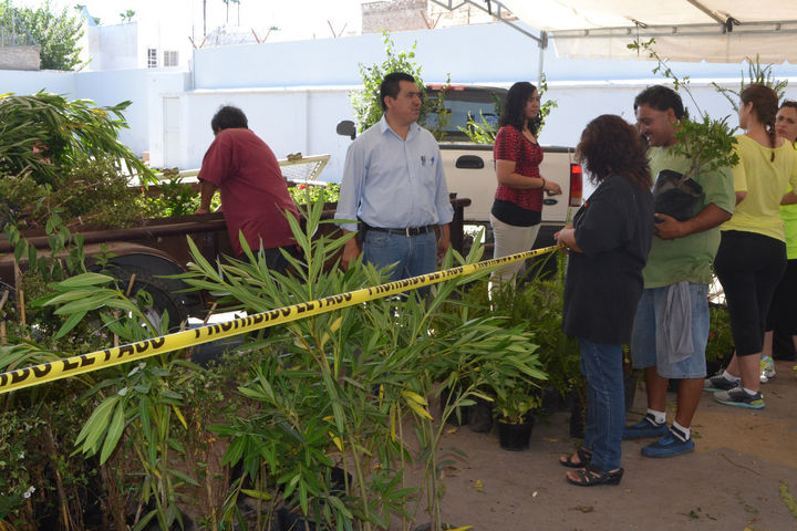 Reforestación. Con el programa Verde Torreón, el día de ayer buscaron incrementar la cobertura vegetal en la región. 