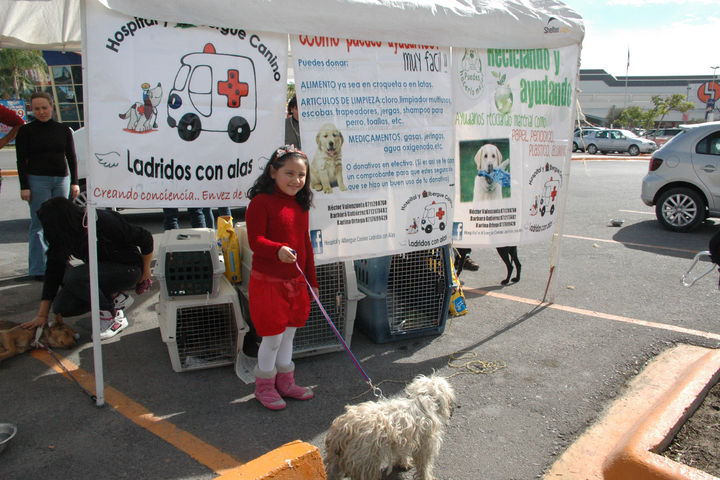 Invitan. Asociaciones de protección animal invitan a una edición más de la Feria de Adopciones Caninas y Felinas en Torreón.