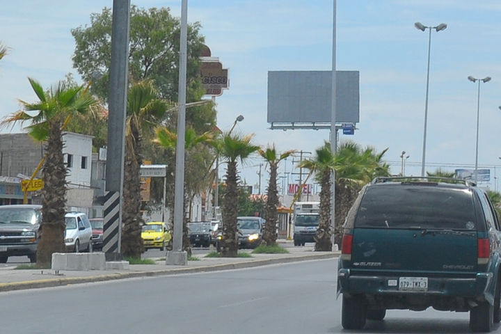 Daños. El conductor de un Nissan Tsuru, derribó una palma en el bulevar Torreón-Matamoros y escapó.