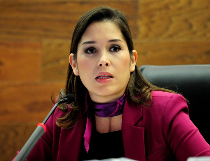 Clave. La comisionada presidenta del IFAI, Ximena Puenta, ve indispensable al organismo que representa.