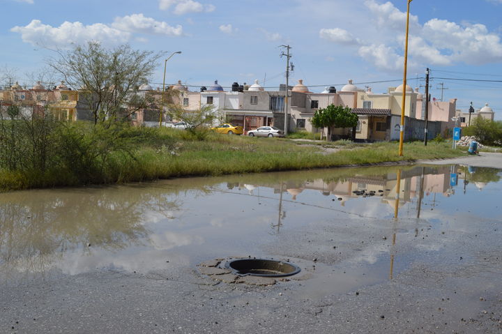 Fallas. Las alcantarillas de la calle Campo de Violetas deben ser destapadas para evitar inundaciones cada vez que llueve.