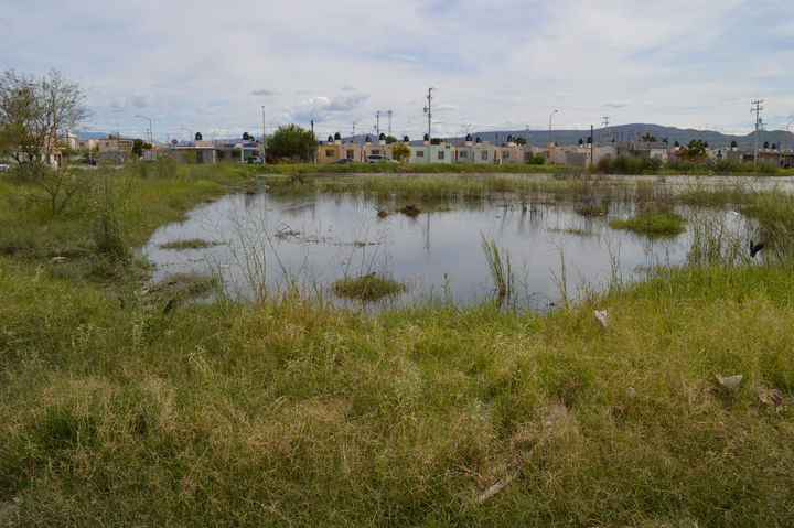 Piden limpieza. Un terreno en la colonia Campo Nuevo Zaragoza de Torreón se encuentra inundado desde hace semanas.