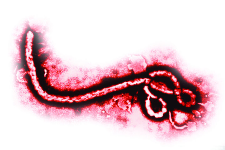 Hospitales de La Laguna, listos ante el ébola