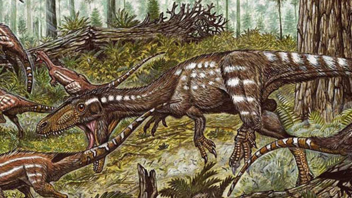 Según los científicos el dinosaurio, que se estima, vivió hace unos 200 millones de años, era un animal bípedo relativamente pequeño de entre 1.5 metros a 2 metros de largo aproximadamente. (ESPECIAL)