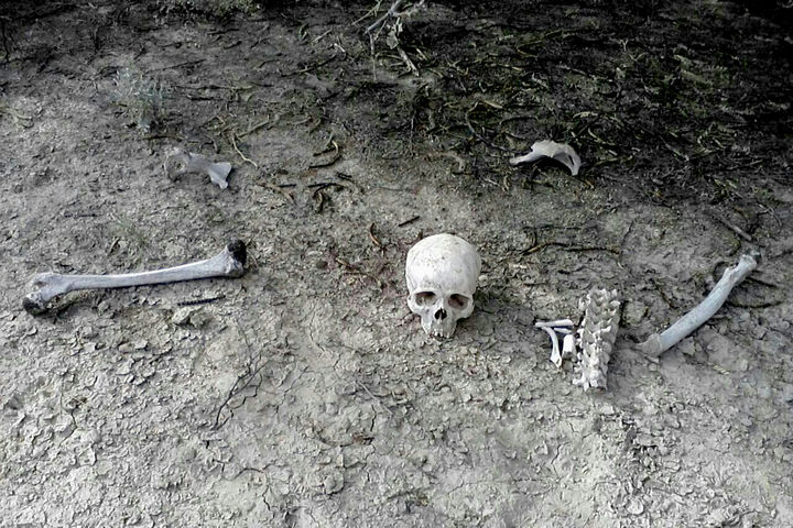 Encuentran. Se desconce aún cuánto tiempo tenía de muerta la persona cuyos restos óseos fueron encontrados.