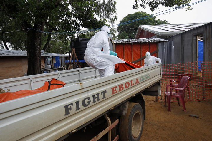 La OMS indica también que el número de casos de ébola asciende hasta ahora a nueve mil 936. (EFE)
