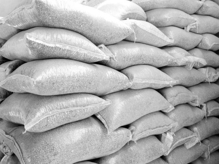 Pagos. Fueron 222 mil toneladas de frijol las que Aserca pagó a dos pesos por kilo a cada productor en los tres estados.