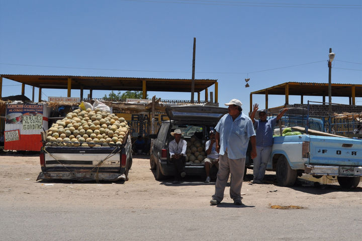 Ayuda. FIRA ha decidido en 2014 apoyar a los meloneros y caprinocultores de la Comarca Lagunera con créditos y asesoría. (ARCHIVO)