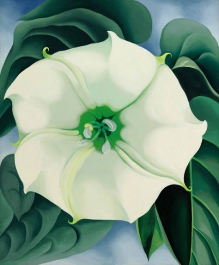 Marca. 'Jimson Weed/White Flower No.1', se convirtió en el cuadro más caro pintado por una mujer.