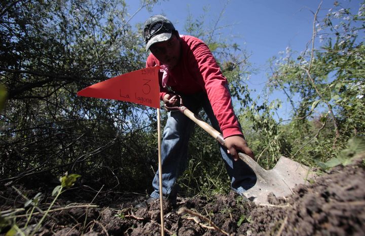 Terror. Familiares encontraron más restos de huesos humanos en las inmediaciones de Iguala, en Guerrero.